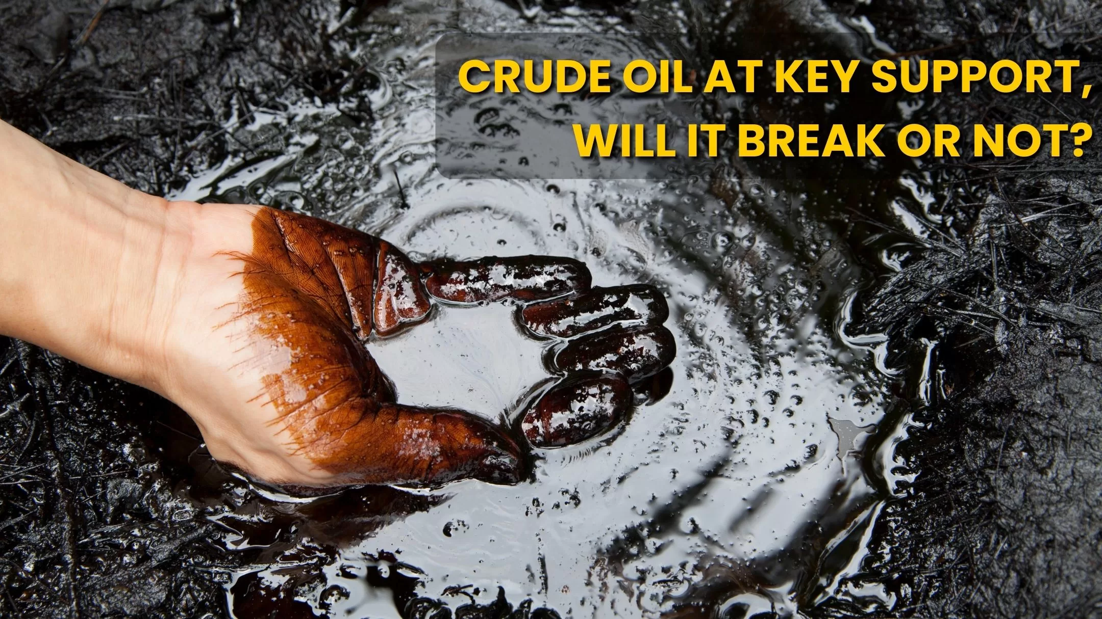 Crude Oil News | Crude Oil At Key Support. What's Next?