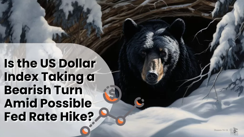 Is the US Dollar Index Taking a Bearish Turn Amid Possible Fed Rate Hike?