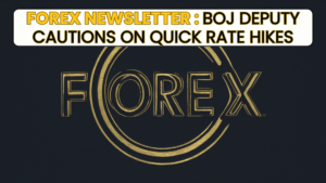 Forex Newsletter : BOJ Deputy Cautions on Quick Rate Hikes